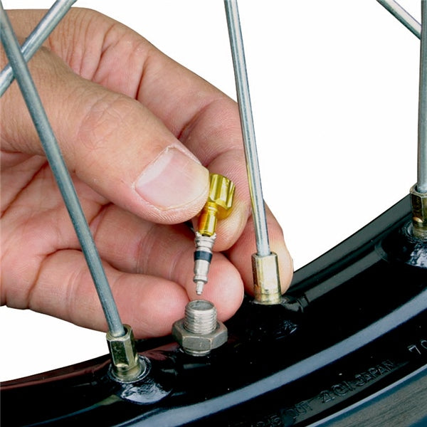 air-valve-cap-w/valve-wrench-gol-qty2