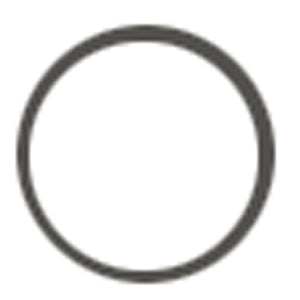 o-ring-331353-omc-sierra