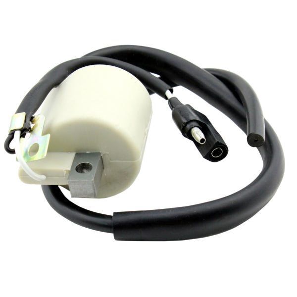 ignition-coil-ext-brp-kimpexhd