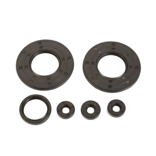 crankcase-oil-seal-set-ski-doo-winderosa