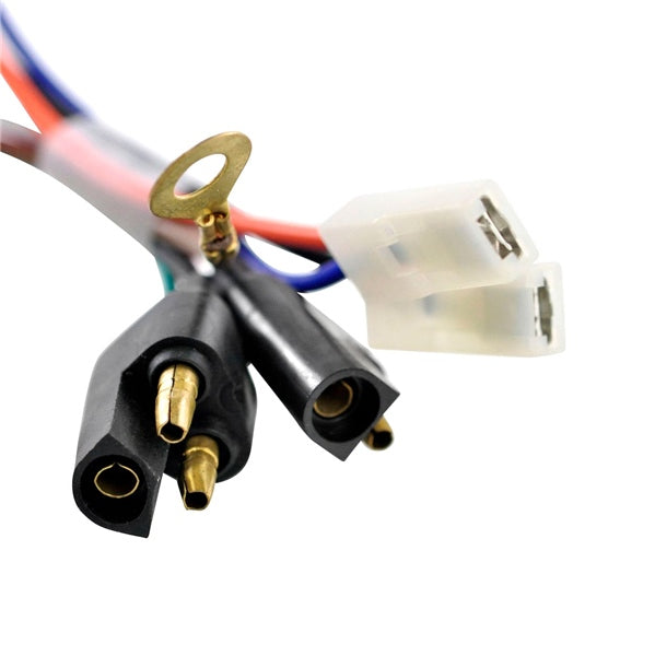 flywheel/ignition-conversion-kit-pol