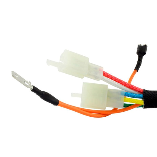 ac/dc-conversion-kit-stator&cdi-kawa