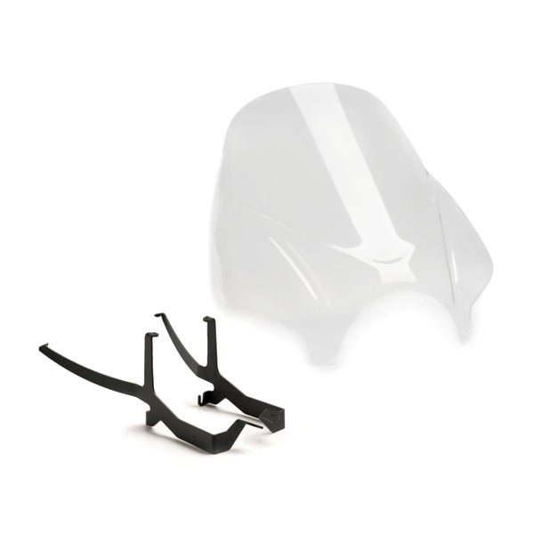 windshield-ng-touring-bmw-clr-puig