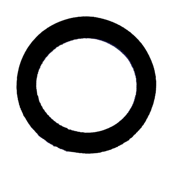 WSM O-Ring