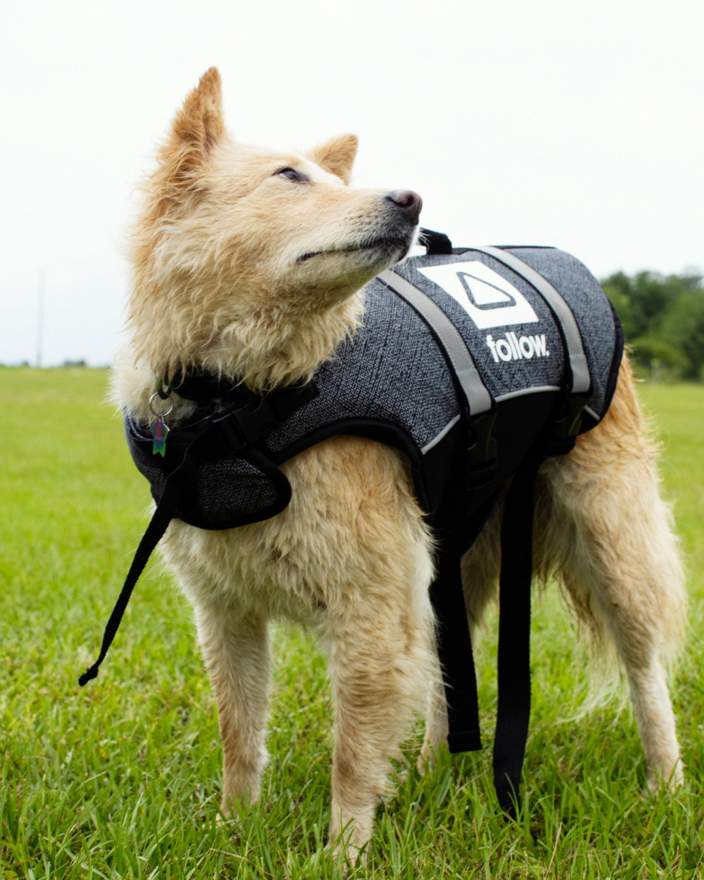 Follow Dog Floating Aid Accessories