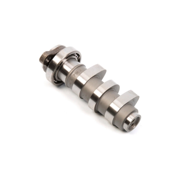 Hot Cams Camshaft 2-020624-HotCams-Elevate
