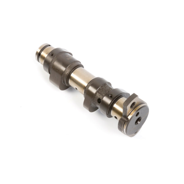 Hot Cams Camshaft 2-020631-HotCams-Elevate
