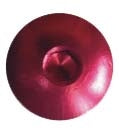 KEITI Windscreen Fastener-024799-Keiti-Elevate