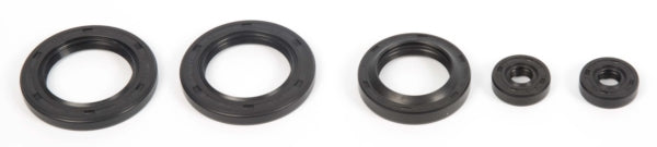 VertexWinderosa Oil Seal Sets Fits Polaris - 059405-059405-VertexWinderosa-Elevate