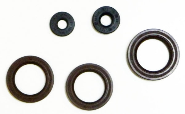 VertexWinderosa Oil Seal Sets Fits Can-am - 159190-159190-VertexWinderosa-Elevate