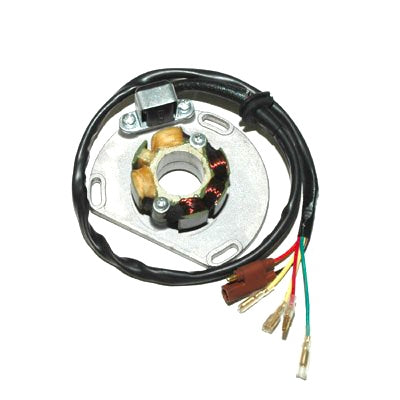 ElectroSport Stator Fits KTM - 215112-215112-Electrosport-Elevate