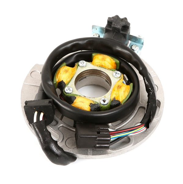 ElectroSport Stator Fits Yamaha - 215136-215136-Electrosport-Elevate