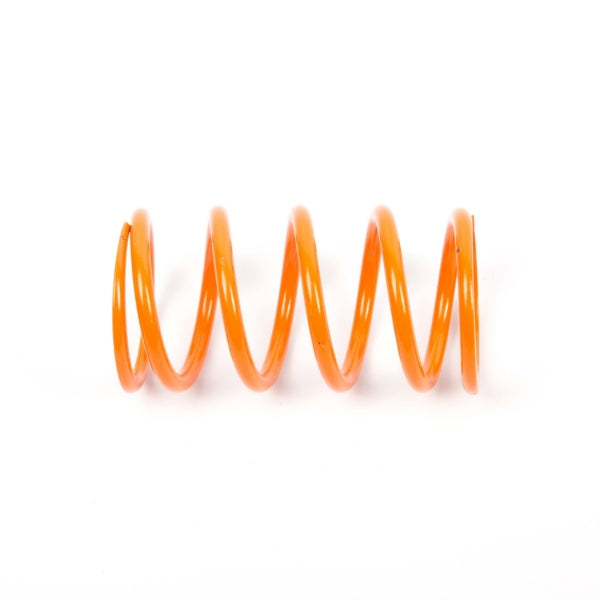 EPI Primary Clutch Spring (Drive)-279032-EPI-Elevate