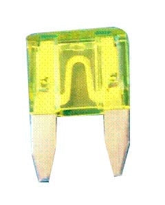 TRANSIT Micro Blade Fuses-280024-Transit-Elevate