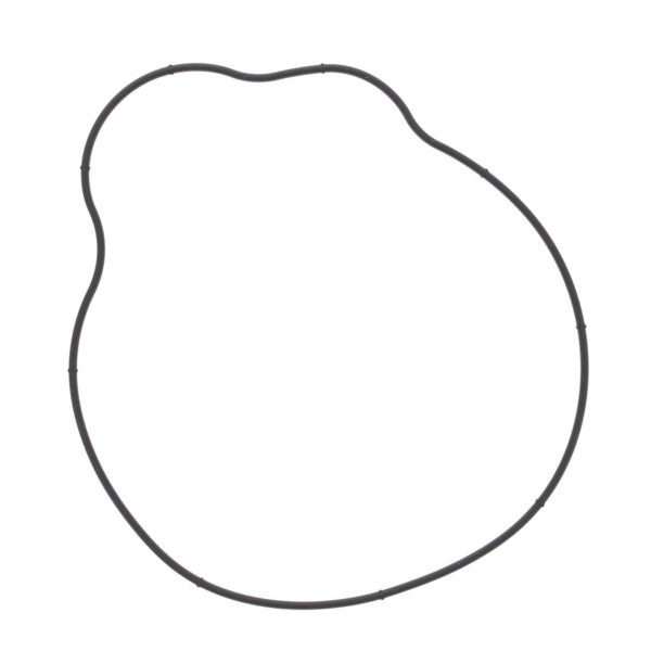 VertexWinderosa Ignition Cover Gasket Fits Polaris - 287869-287869-VertexWinderosa-Elevate