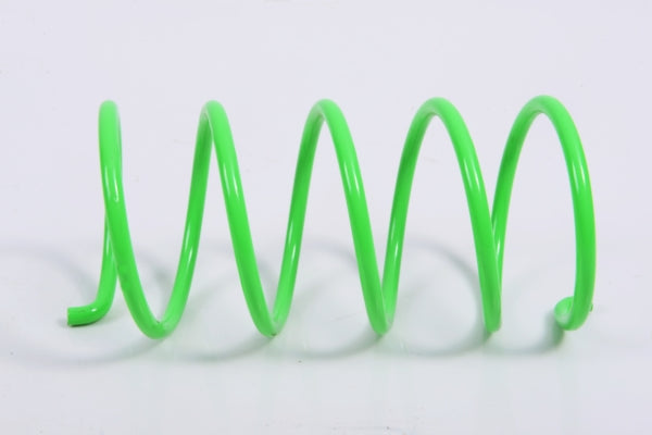 EPI Secondary Clutch Spring (Driven)-294503-EPI-Elevate