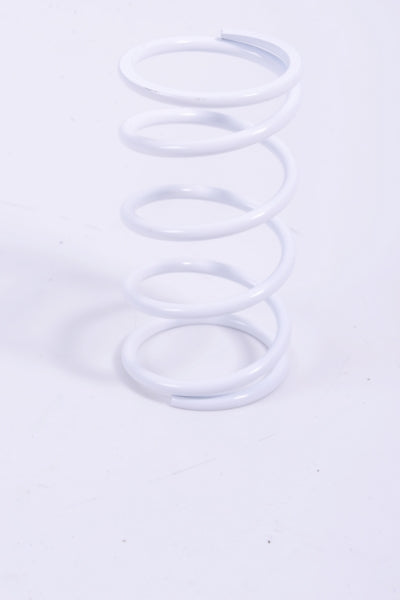EPI Primary Clutch Spring (Drive)-279065-EPI-Elevate