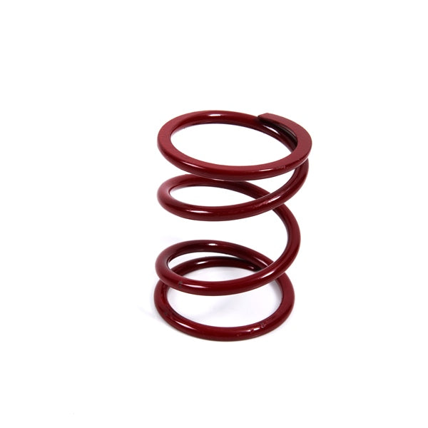 EPI Secondary Clutch Spring (Driven)-EPI-Elevate