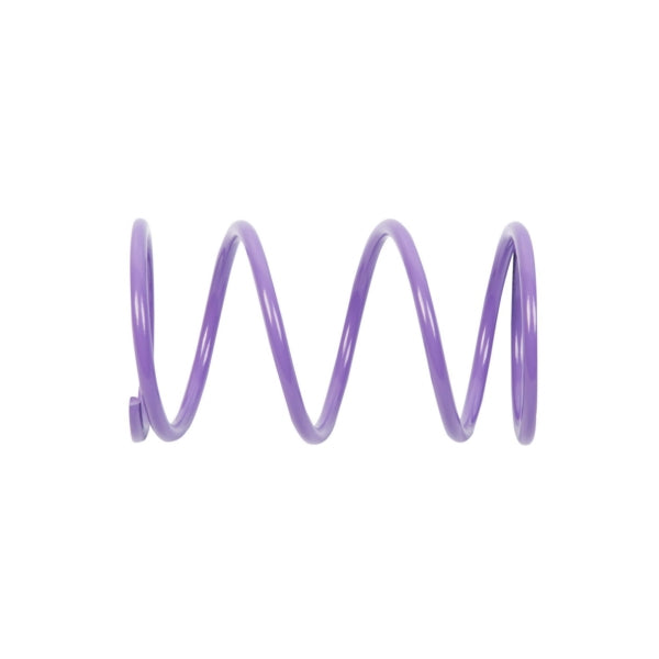 EPI Secondary Clutch Spring (Driven)-EPI-Elevate