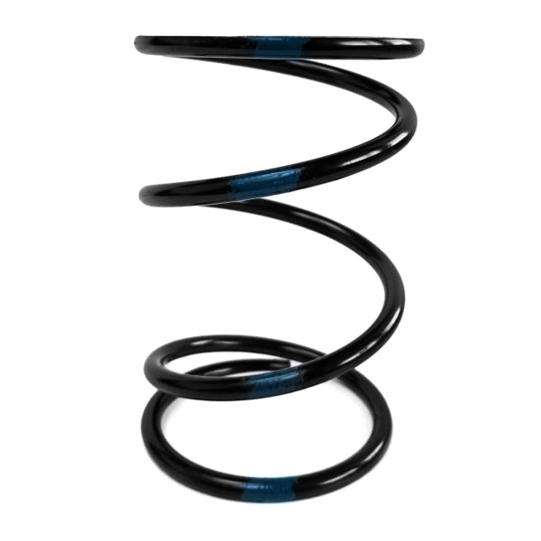 EPI Secondary Clutch Spring (Driven)-EPI-Elevate