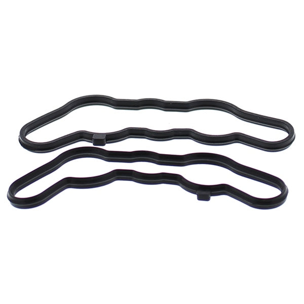 VertexWinderosa Power Valve Gasket Sets-304672-VertexWinderosa-Elevate