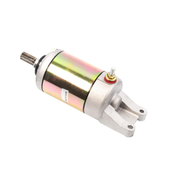 starter-suz-arrowhead