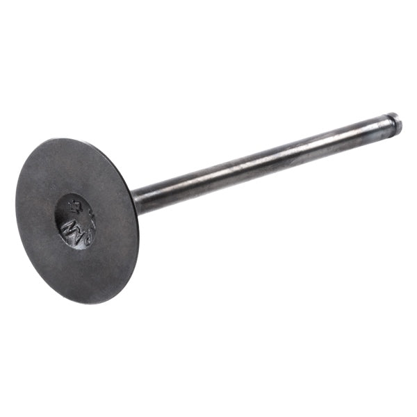 intake-valve-kawa-shindy