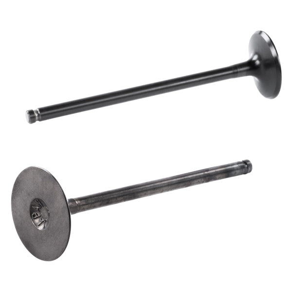 intake-valve-kawa-shindy-qty2