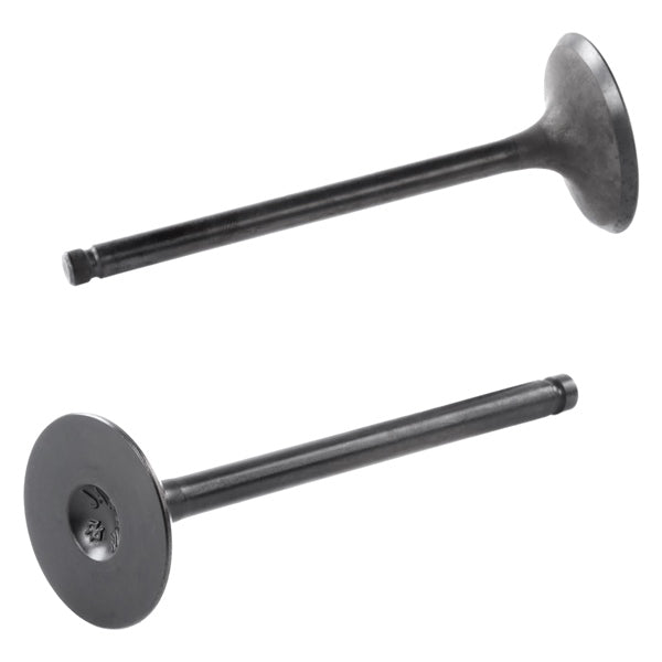 intake-valve-suz-shindy-qty2