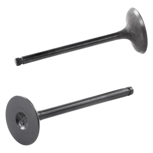 intake-valve-suz-shindy-qty2