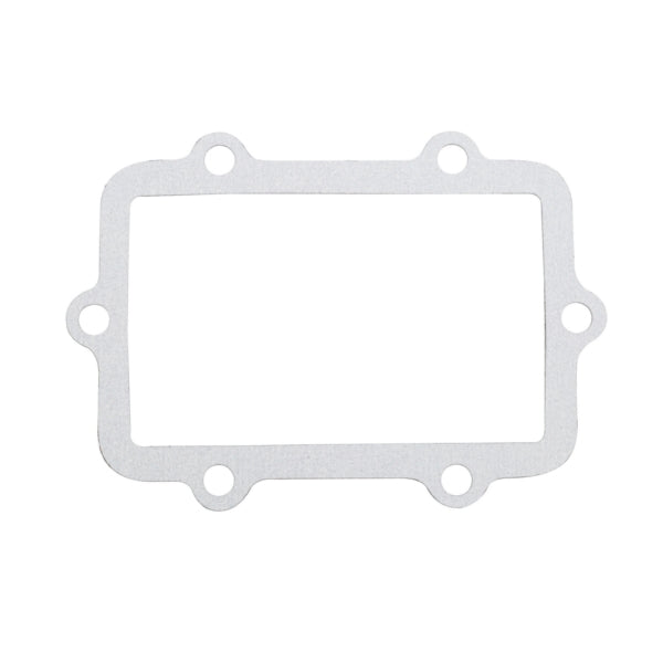 reed-gasket-ski-doo-winderosa