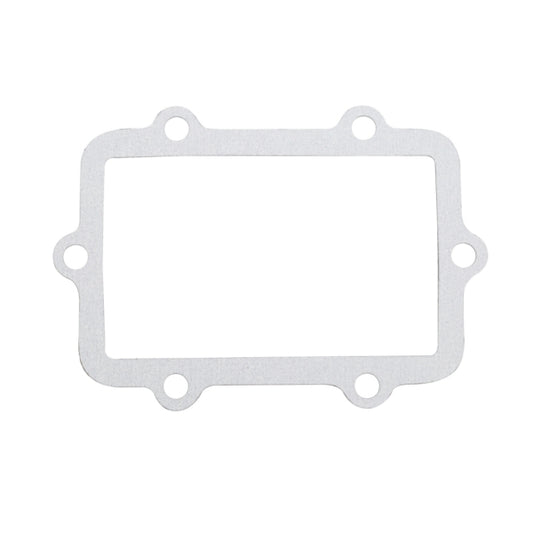 reed-gasket-ski-doo-winderosa