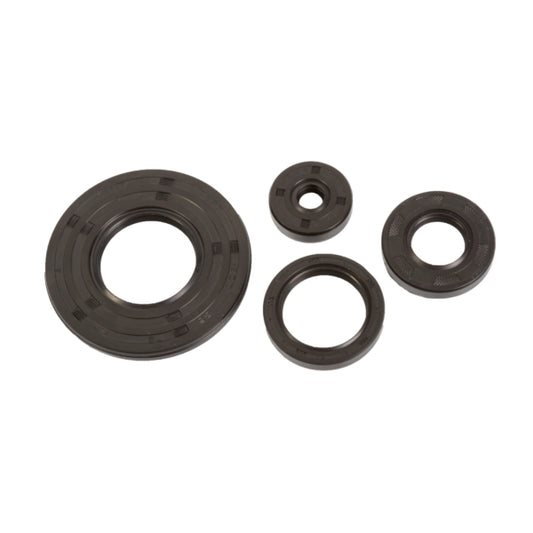 crankcase-oil-seal-set-ski-doo-winderosa