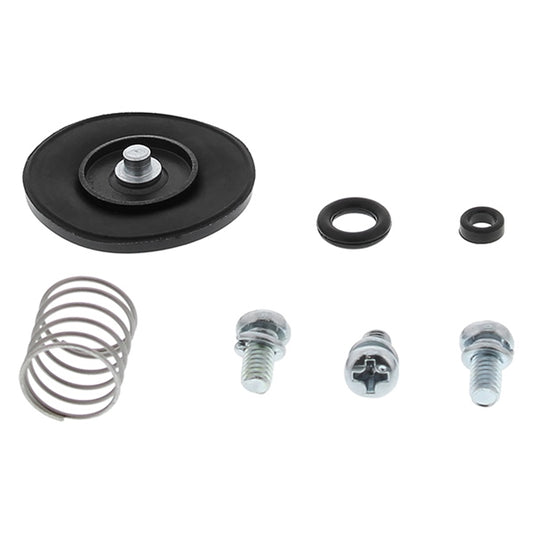 accelerator-pump-rebuild-kit-allballs