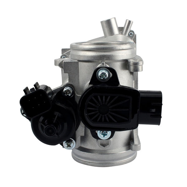 corps-papillon-ens-compl-pol-kimpexhd