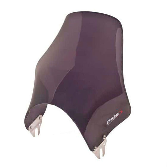 windshield-naked-dsmk-kawa-puig