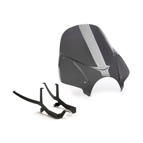 windshield-ng-touring-bmw-dsmk-puig