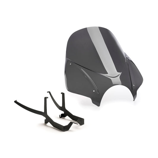 windshield-ng-touring-bmw-dsmk-puig