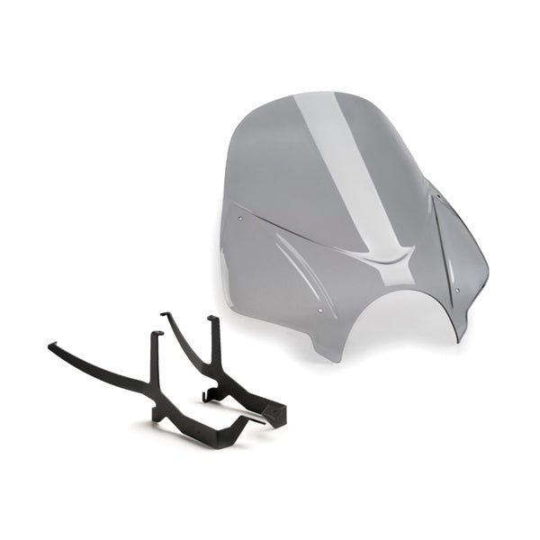 windshield-ng-touring-bmw-smk-puig