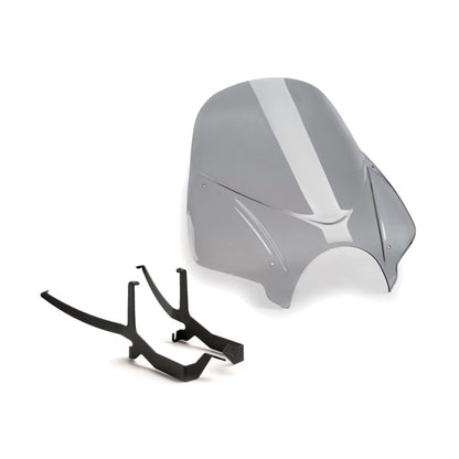 windshield-ng-touring-bmw-smk-puig