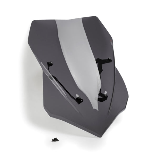 windshield-ng-touring-dsmk-ducati-puig