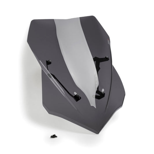 windshield-ng-touring-dsmk-ducati-puig