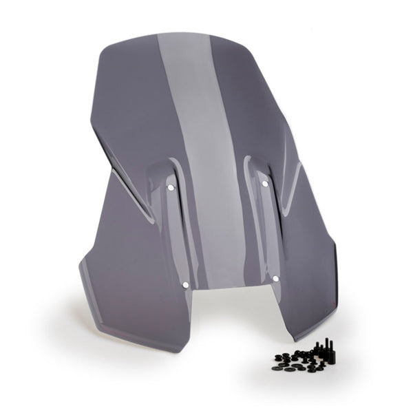 touring-screen-harley-dsmk-puig