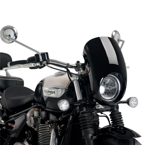 semifairing-anarchy-bk-triumph-puig