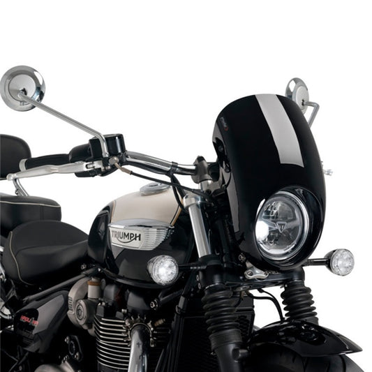 semifairing-anarchy-bk-triumph-puig