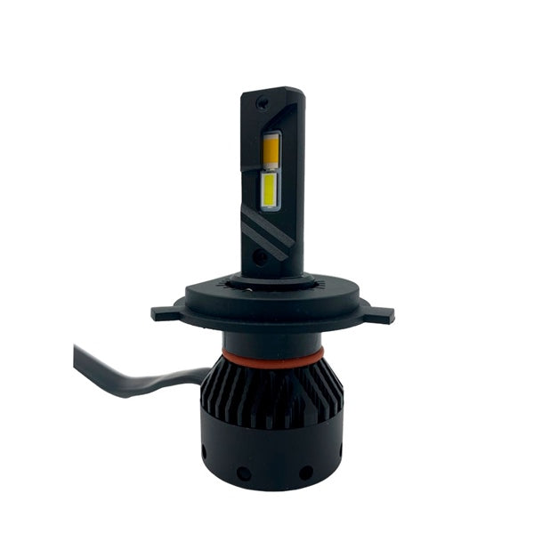led-bulb-snow-wy-dualcolor-h4-qty2
