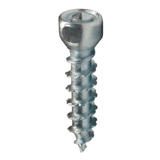 screw-carbide-boss-qty1000-woodys