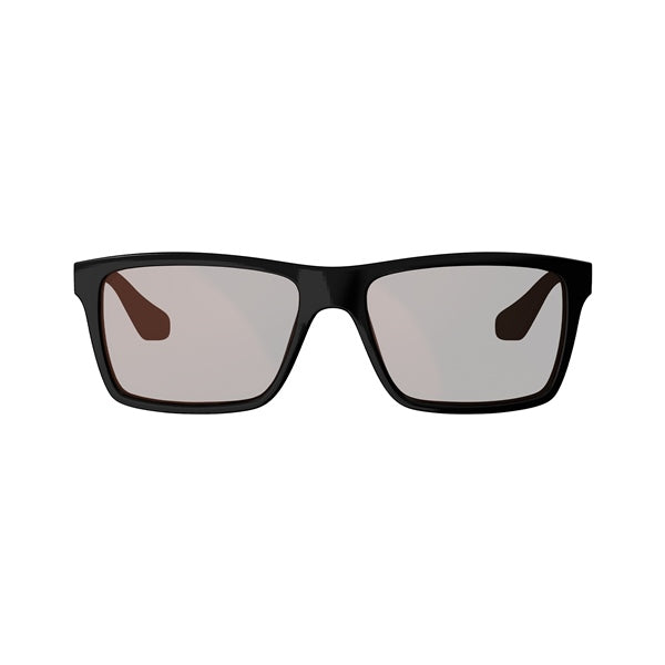 sunglasses-theviz-sierra-bk/si-brw/si