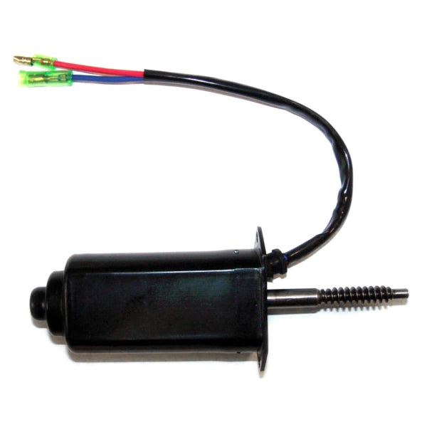 WSM Trim Motor