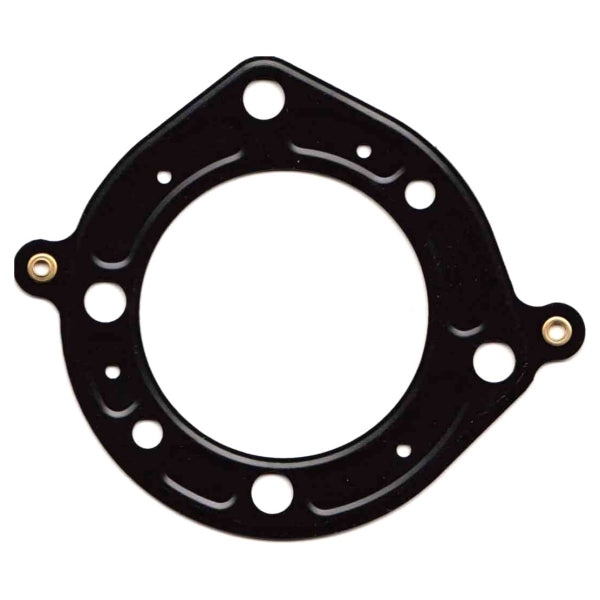 WSM Muffler Damper Gasket 796814